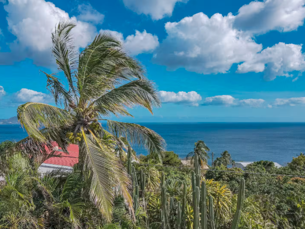 Charmin Caribbean Villa with Private Pool & Stunning Views